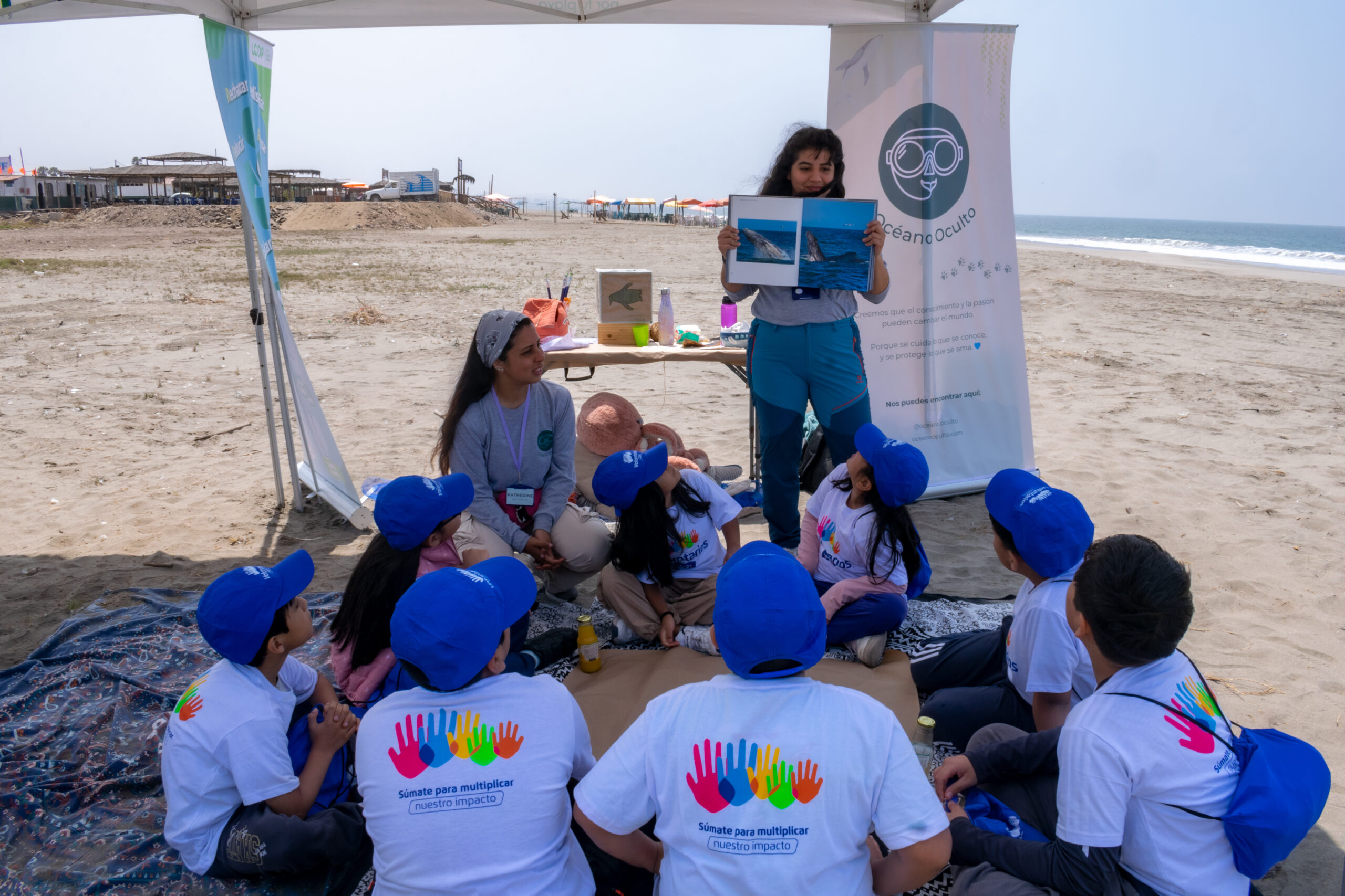 Reflexión ambiental