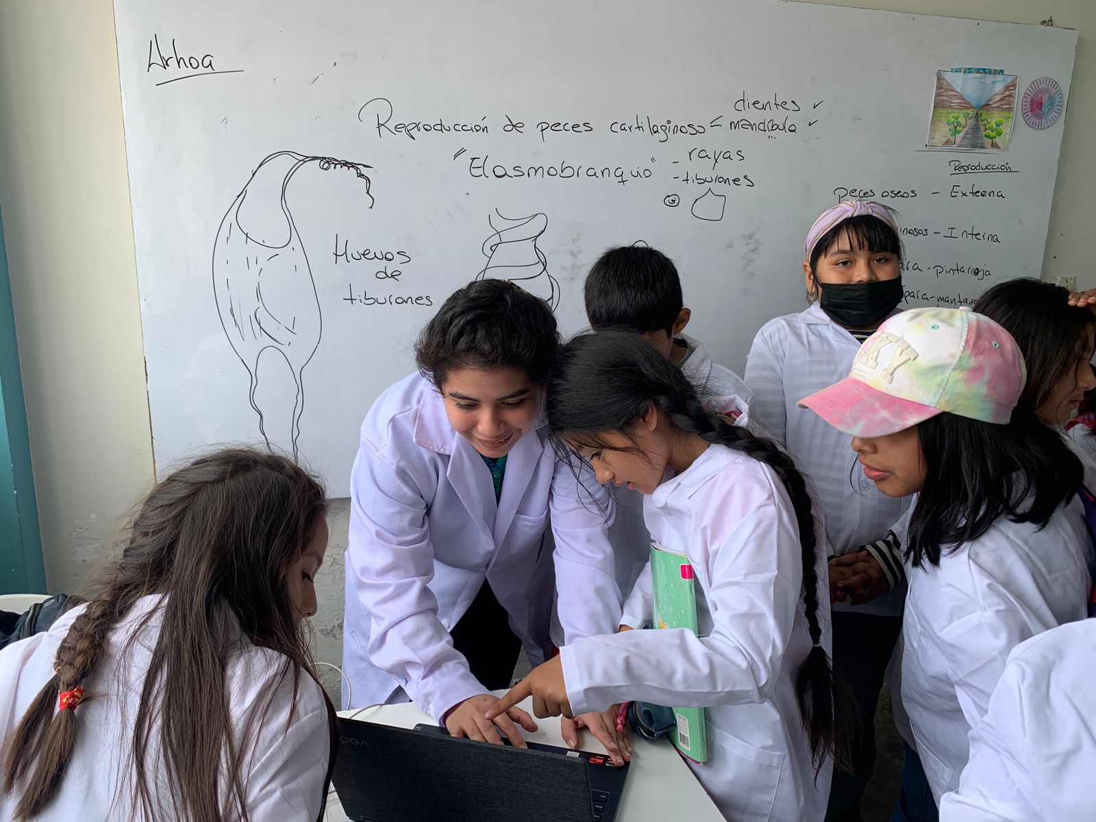 Exploración científica