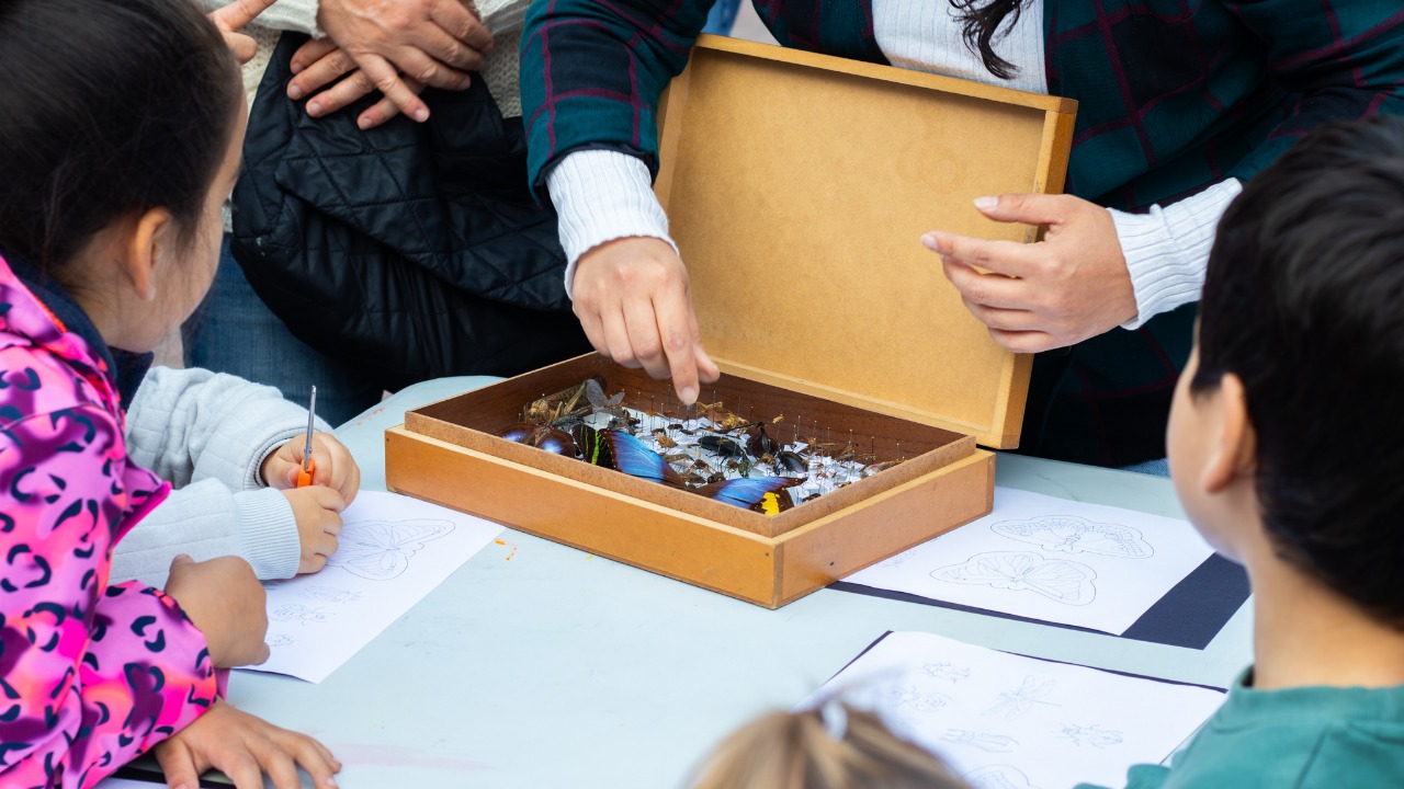 Observación científica